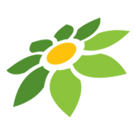 TOKOPEDIA BAYAR NANTI